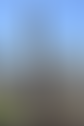 A glimpse of the past:  but for our forefathers…