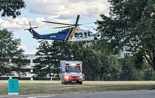 Tree Falls on Man off Hollow Road, Medevaced to Trauma Center