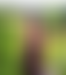 Monty Sophomore Wins Broadway Singing Competition