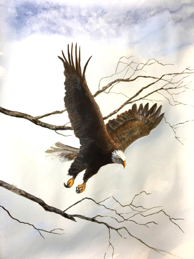 The Eagles Have Landed in Montgomery