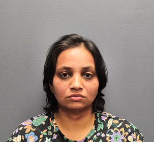 Hillsborough Mother Charged with Double Homicide of Her Two Young Sons