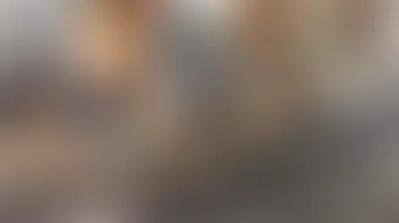 Bomb Scare in Palmer Square, Residents Evacuated