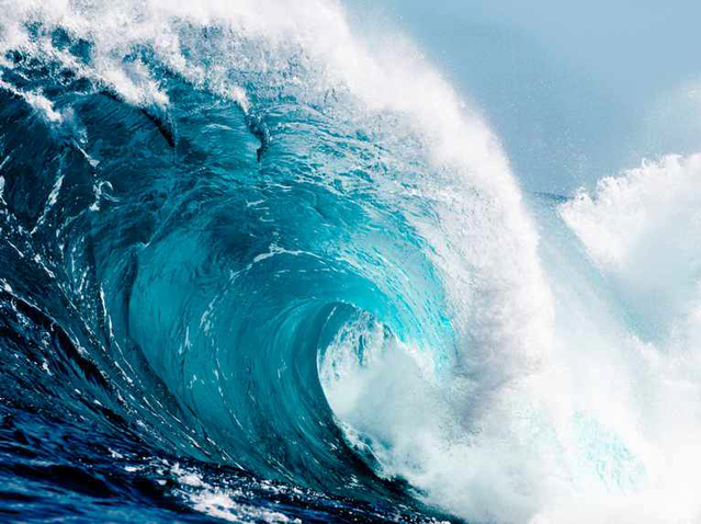 Montgomery Township Voters Trigger a Local Blue Tidal Wave 