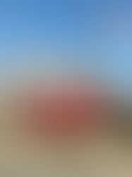 A Peloton Bike Sparks a Fire in a Belle Mead Home