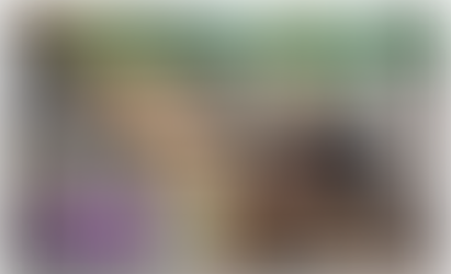 Letter from the Mary Jacobs Memorial Library Foundation Trustees