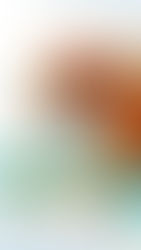 🥕Co ma wspólnego marchewka z czytaniem?