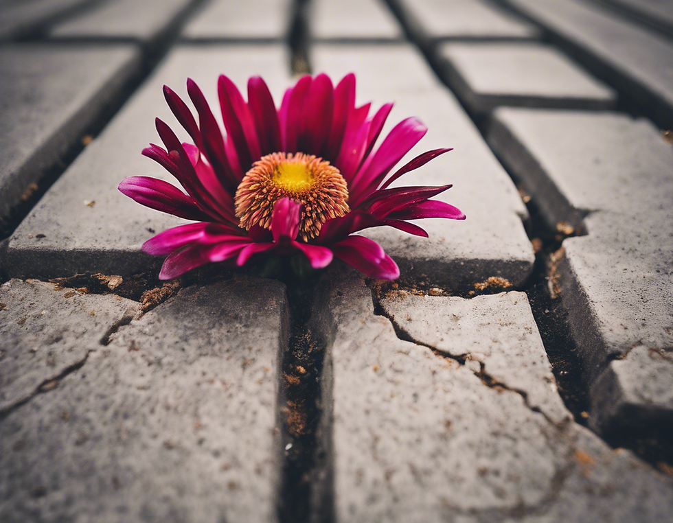 Finding Balance: Nature's Role in Urban Environments