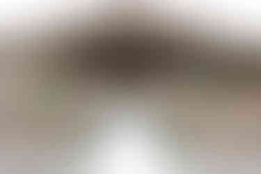 Ceremony Space at Farm 12