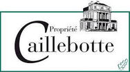 Logo Propriété Caillebotte.jpeg