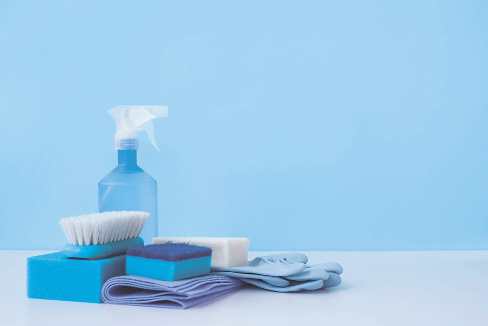 Blue Cleaning Materials color edit.jpg