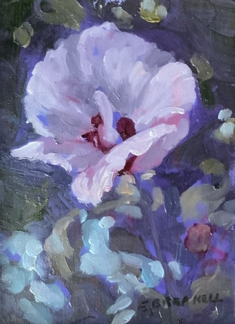 Marsh Mallow