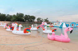 Unicorn Island Singapore
