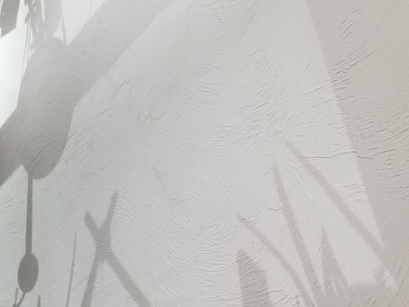 SHADOWS