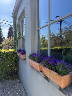 Art'Aviation Guesthouse****