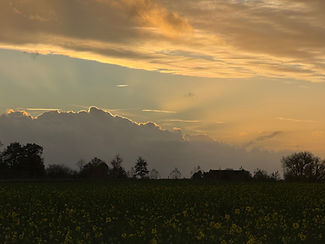 B&B Art'Aviation garden