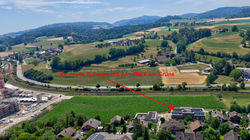 Blick ins Grüne