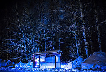 branches-bus-stop-cold-757324.jpg
