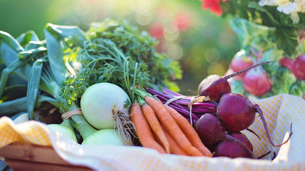 The Manjimup Farmers Market comes to Pemberton