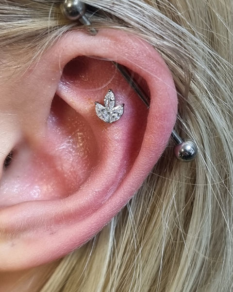 Body Piercing by Fiona Thomson | Glasgow | City Centre