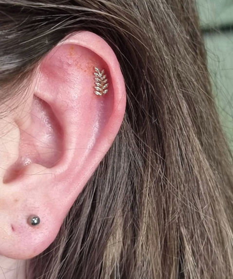 Body Piercing by Fiona Thomson | Glasgow | City Centre