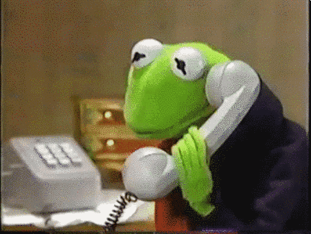 sapo.gif