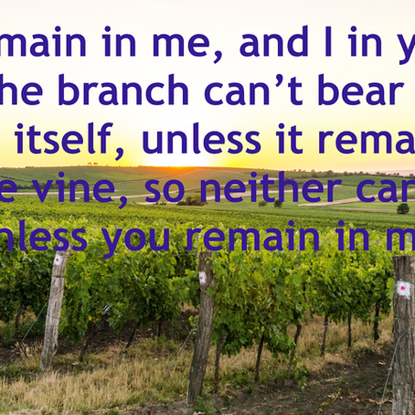 Jesus said, "I Am the Vine, you are the branches."