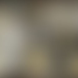 The Direct Claims by Jesus to be God.