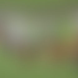 Believers Will Be Transformed into the Likeness of Christ