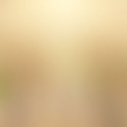 An immense, diverse crowd of joyful people from many nations wearing shimmering white robes and holding green palm branches, looking upward toward a radiant, heavenly golden light in a serene, sky-like setting.