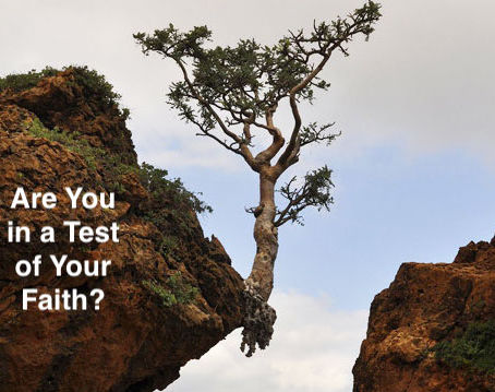 Was wollte Jesus Ihrer Meinung nach mit seinen Worten erreichen? Könnte Gott dasselbe in Ihrem Leben bewirken?