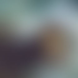 The Lifesaving Station Parable