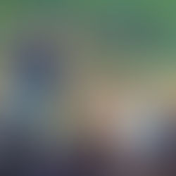 Zacchaeus, Come Down Immediately!