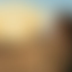 Un Joseph adolescent, vêtu de vêtements de l'ancien Moyen-Orient, se tient debout au cœur d'un vaste paysage désertique inondé de soleil. Au-dessus de lui, une bulle de pensée dorée et lumineuse illustre son rêve biblique : une gerbe de blé centrale se dresse fièrement, tandis que d'autres gerbes s'inclinent devant elle.