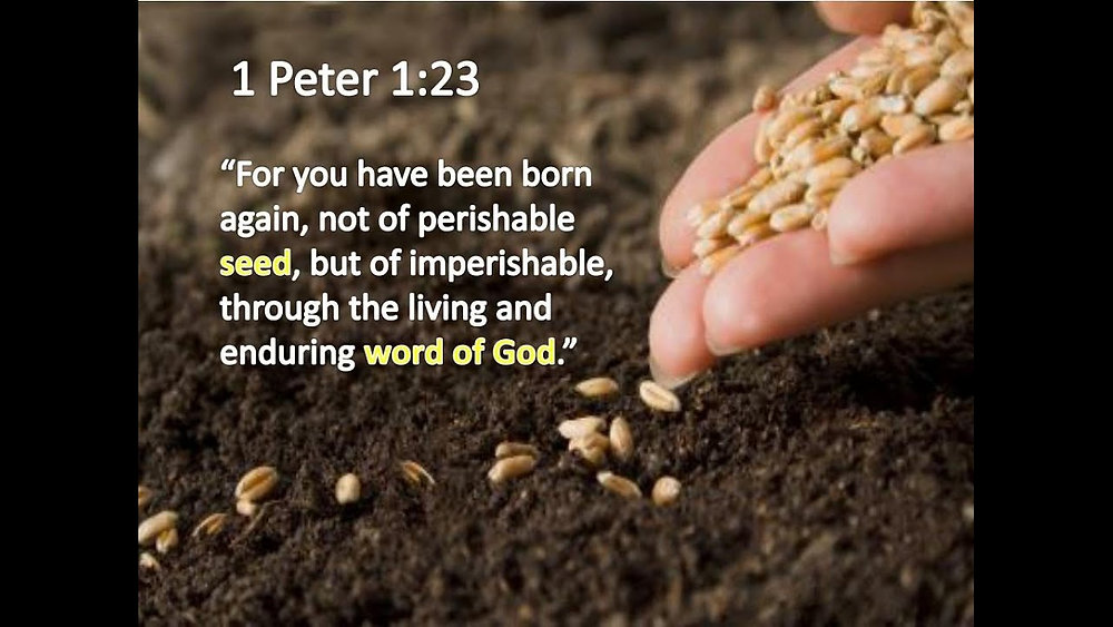 The Living Seed Planted by Jesus