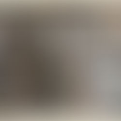 The Healing of a Royal Official’s Son