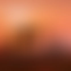 It is foolish to trust in the ways of this world rather than God.