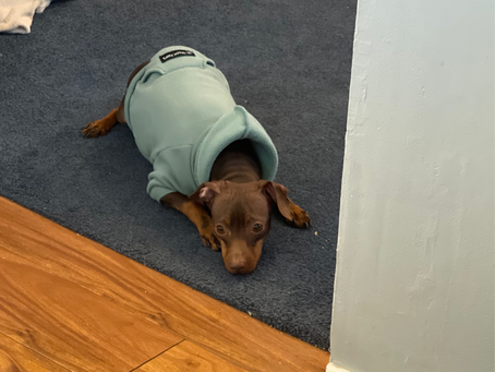 Why Isn't It Working? Part II