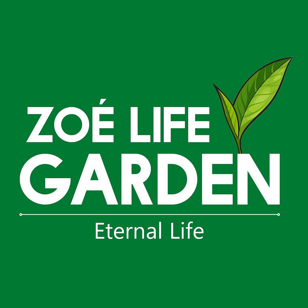 WhatsApp Image 2024-11-15 at 17.05.07.jpeg