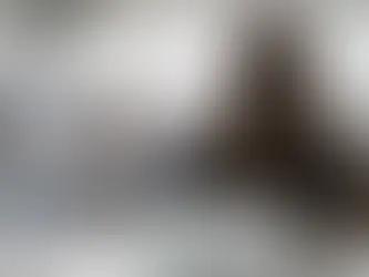 Comprovação para a primeira chamada do Prouni termina hoje