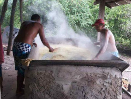 IBGE inicia censo em territórios quilombolas