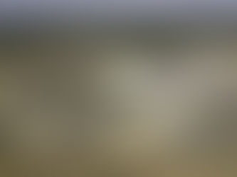 Anac autoriza aumento das tarifas de pousos e decolagens no Aeroporto de Natal