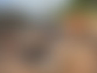 80 chamados foram atendidos pela Defesa Civil em Natal desde a última sexta-feira, 01