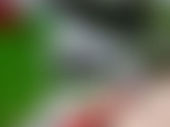 Inscrições para 524 vagas em cursos técnicos do IFRN se encerram segunda-feira