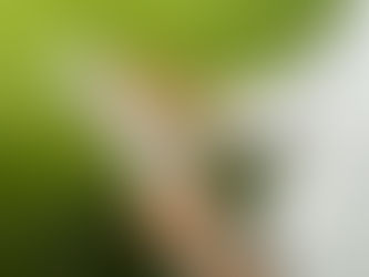 Neoenergia Cosern prorroga campanha para renegociação de dívidas com descontos de até 90%