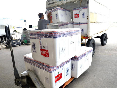 RN recebe 112 mil vacinas da Oxford e Sesap destina lote para aplicação de 2ª dose