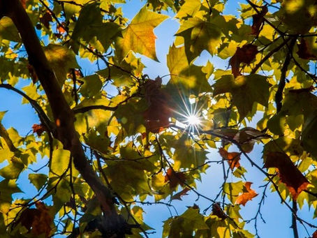 Outono deve ter chuva dentro da normalidade no RN, aponta meteorologista