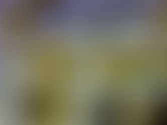 Inscrições para concurso dos Correios com vagas para RN terminam próxima segunda-feira