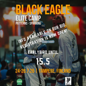 2nd Black Eagle Elite Camp