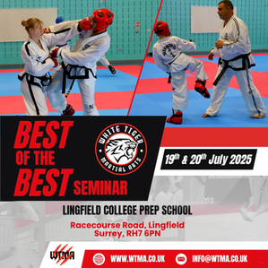 White Tigers Martial Arts - The Best of the Best Seminar