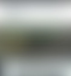 Erased and Enslaved: How the Maya and Yamasee Were Stolen, Not Lost